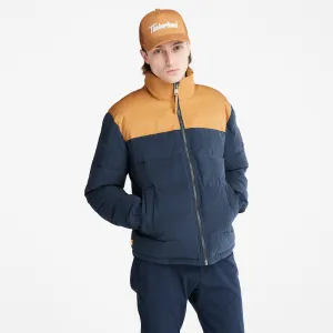 Welch Mountain Puffer Jacket For Men